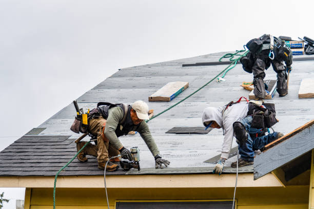 Professional Storm Damage Roof Repair technician working in Porter, MN
